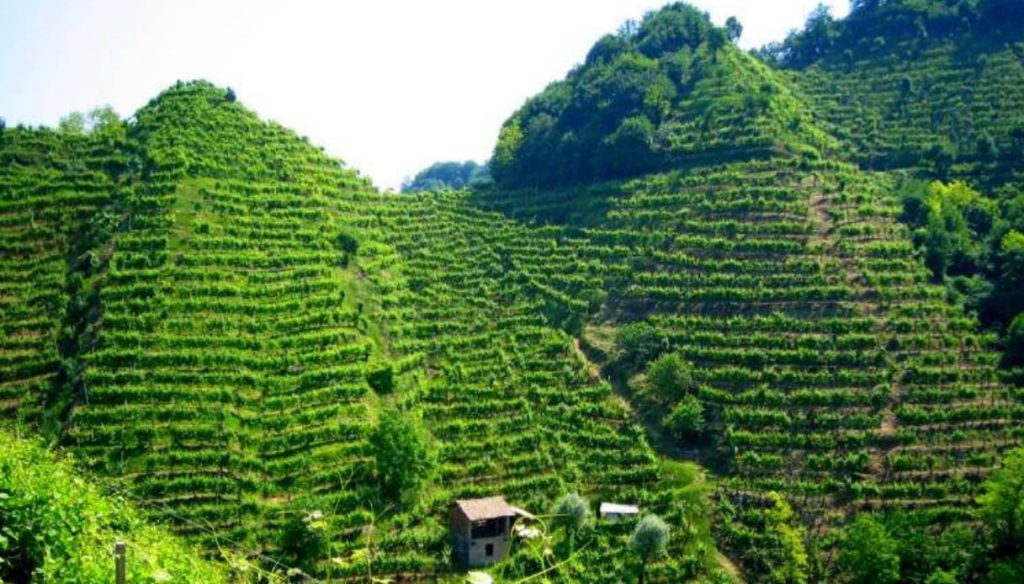 Prosecco Is Made in Italy